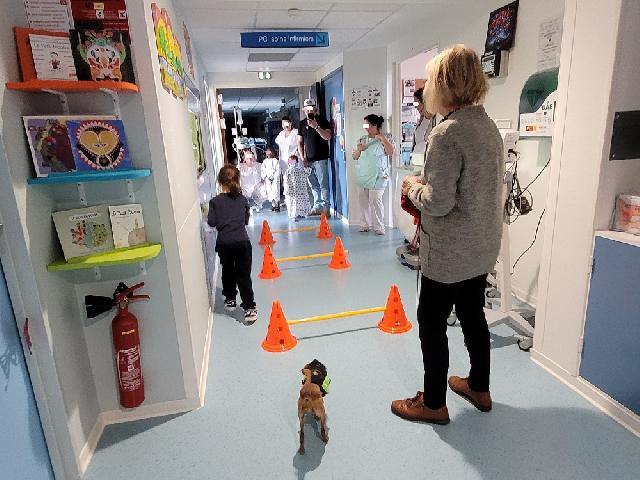 497933450 122137632404402706 8802721818317077364 n