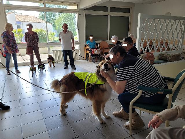 499544275 122136282950402706 7761677718426637792 n